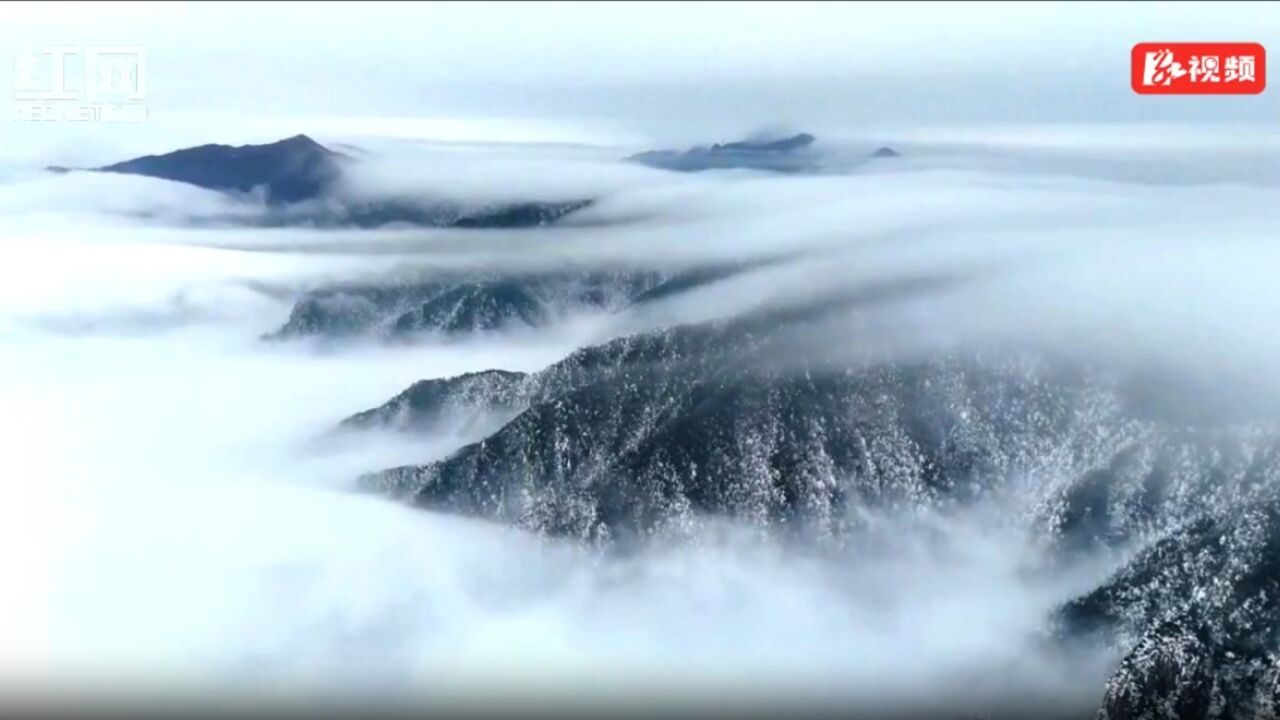 宜章:冬日莽山 人间仙境