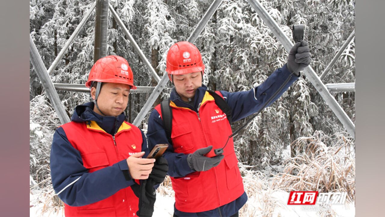 湖南张家界:冰雪中的电力监测哨兵