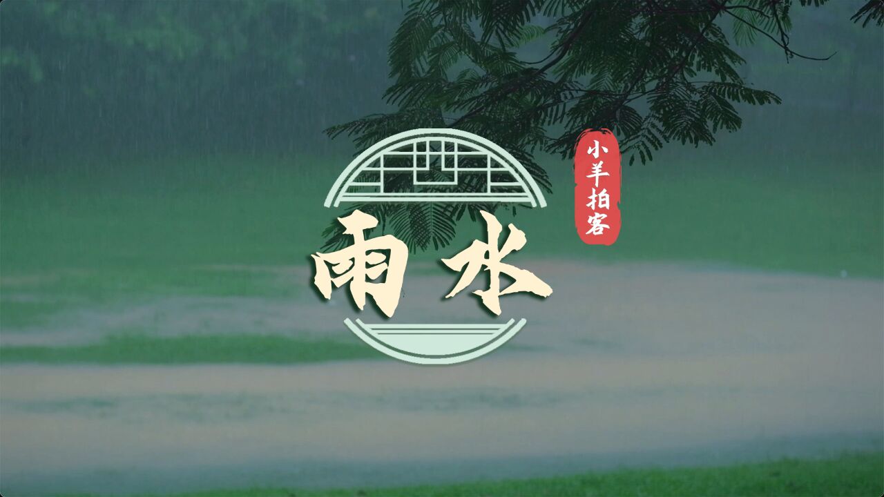 雨水,春江暖湾区花正开|小羊拍客ⷮŠ四季岭南