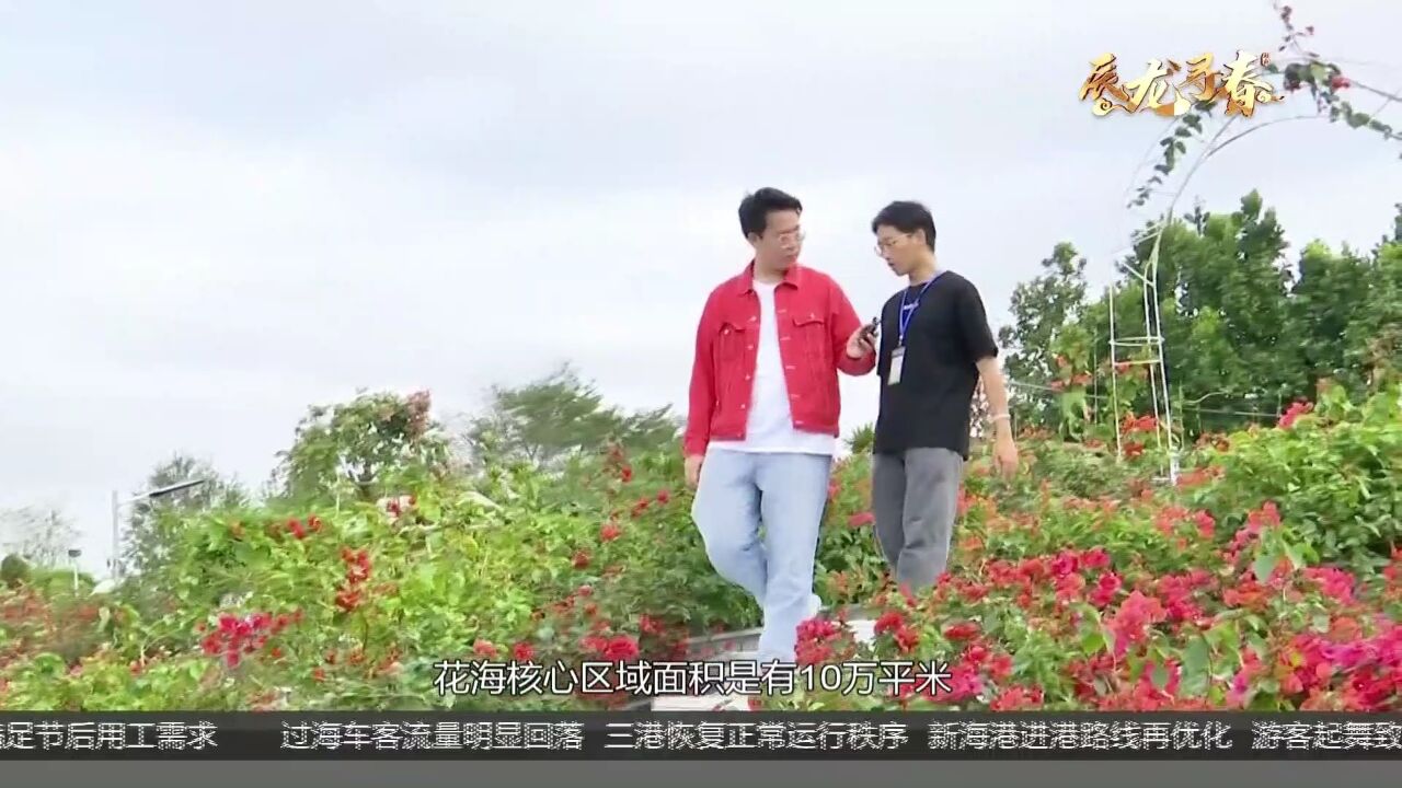 辰龙寻春:与“花海”相约 享浪漫春意