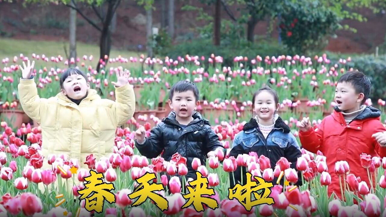 永州十场花事丨春天到永州来赏花~