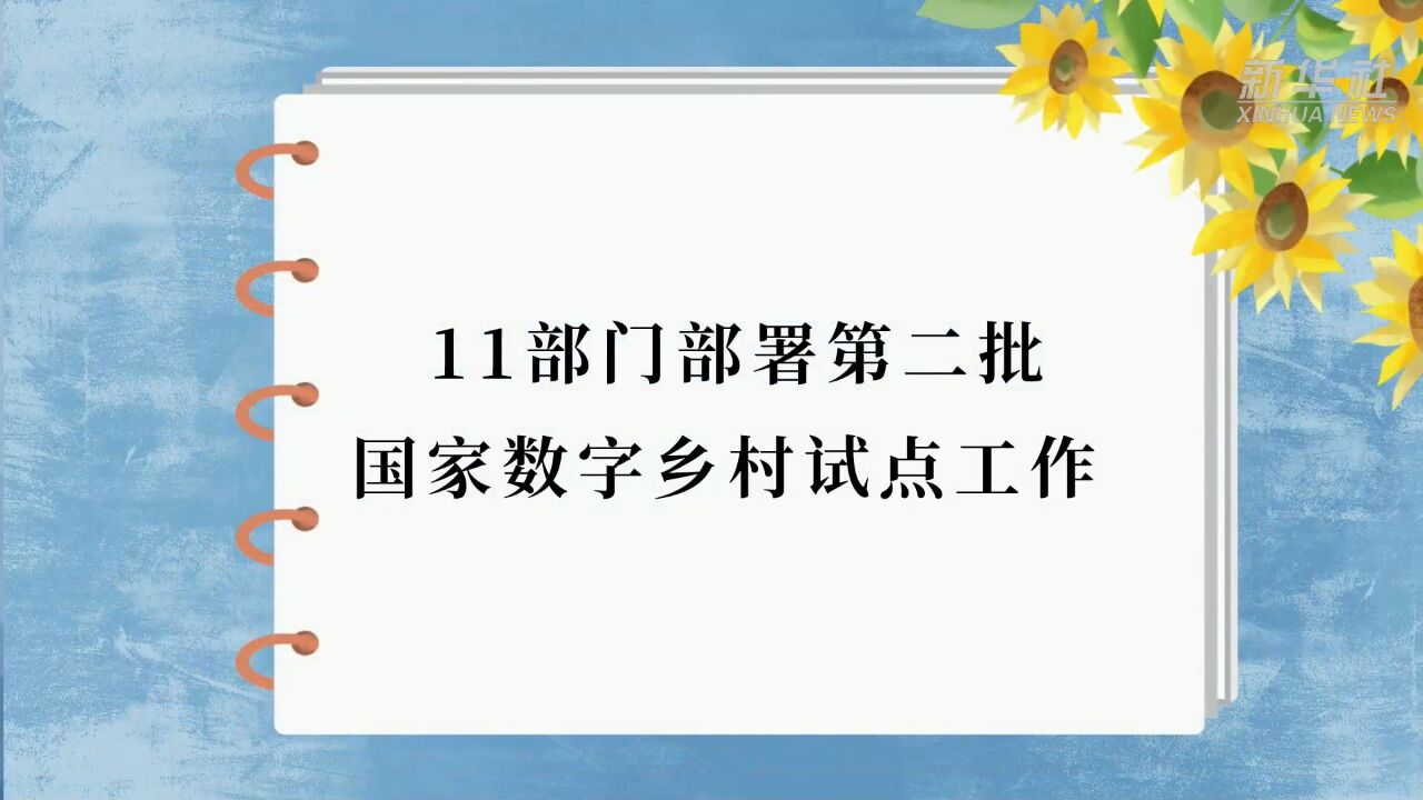 11部门部署第二批国家数字乡村试点工作