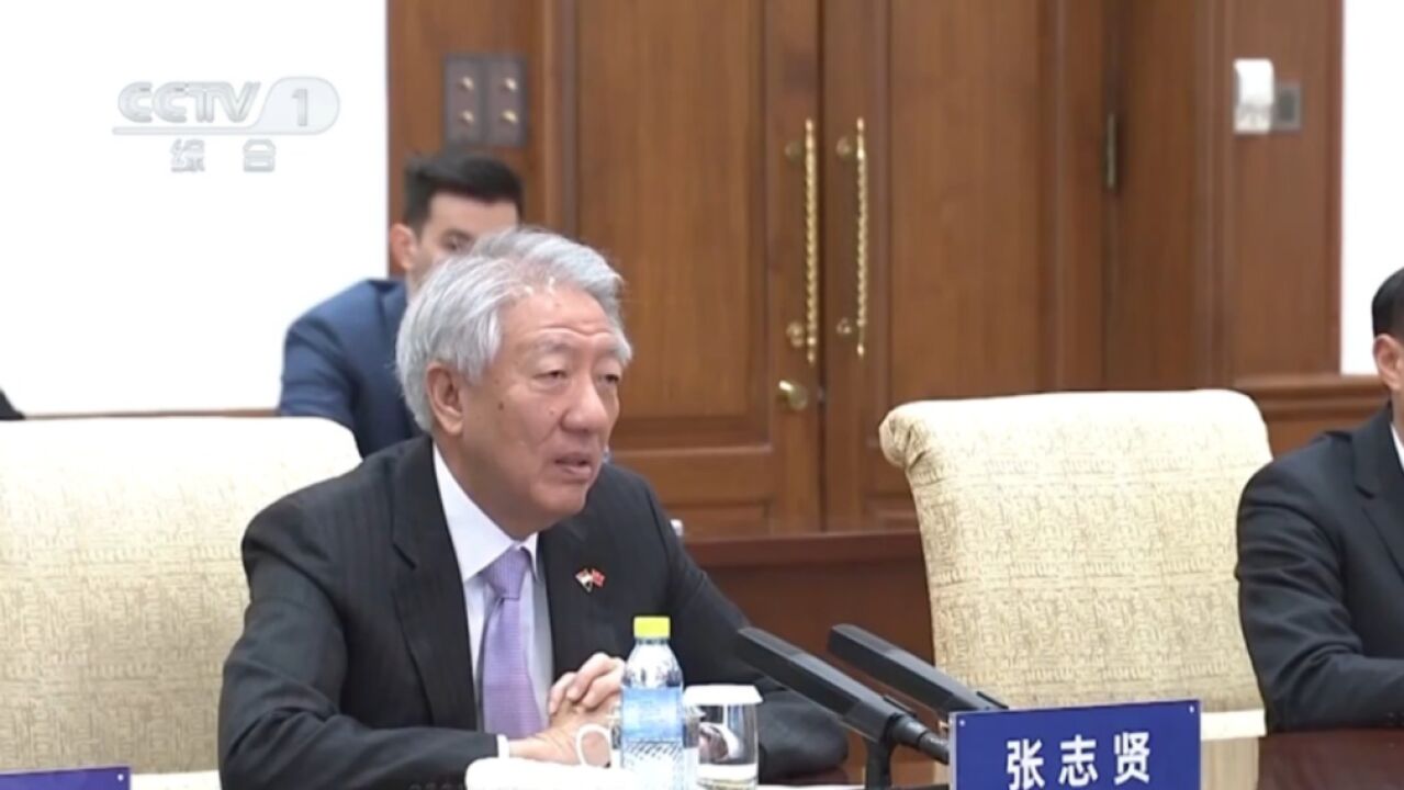 陈文清会见新加坡国务资政兼国家安全统筹部长