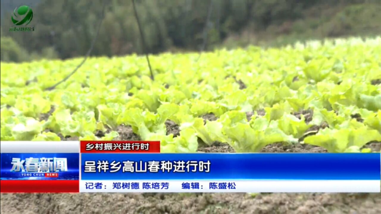 【乡村振兴进行时】呈祥乡高山春种进行时