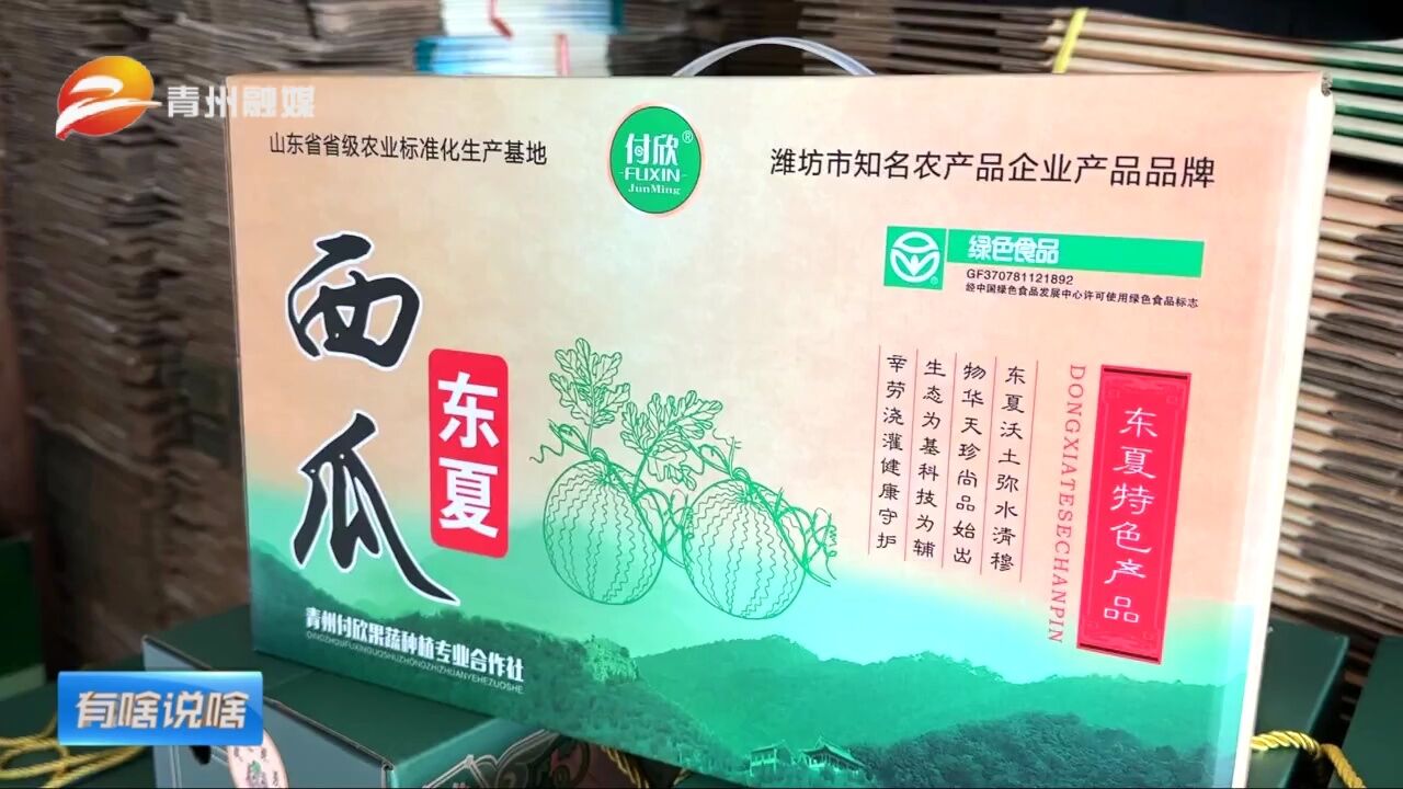 潍坊青州:首茬吊蔓小西瓜集中上市 带来好“钱景”