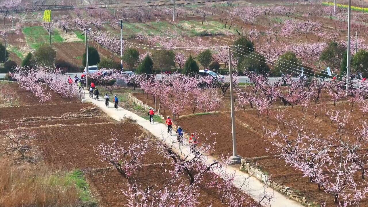 枣庄山亭做美“赏花+”文章 激发春日旅游新活力