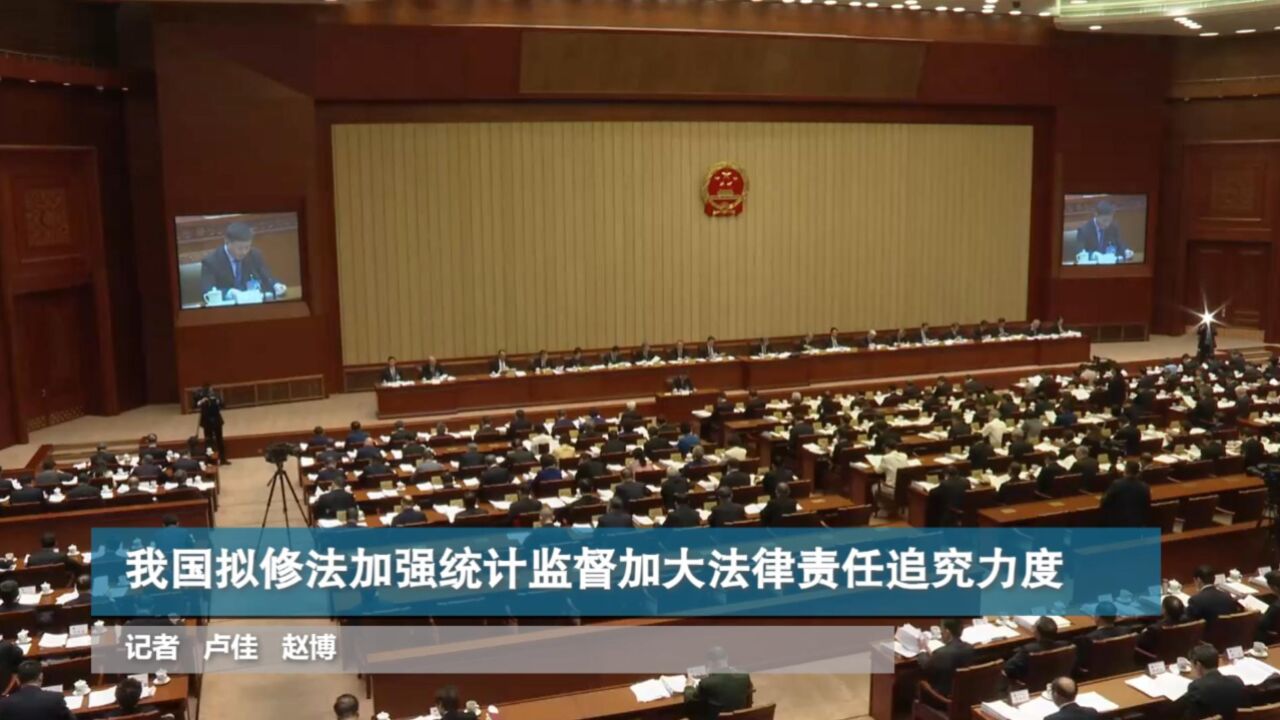 我国拟修法加强统计监督加大法律责任追究力度