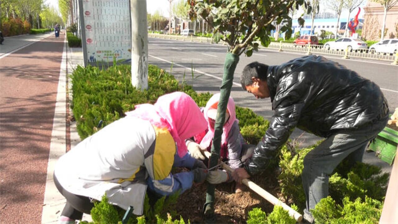 东营市利津县:补植适宜植物6000余株 地被植物40000余平方米 全力打造宜居生活环境