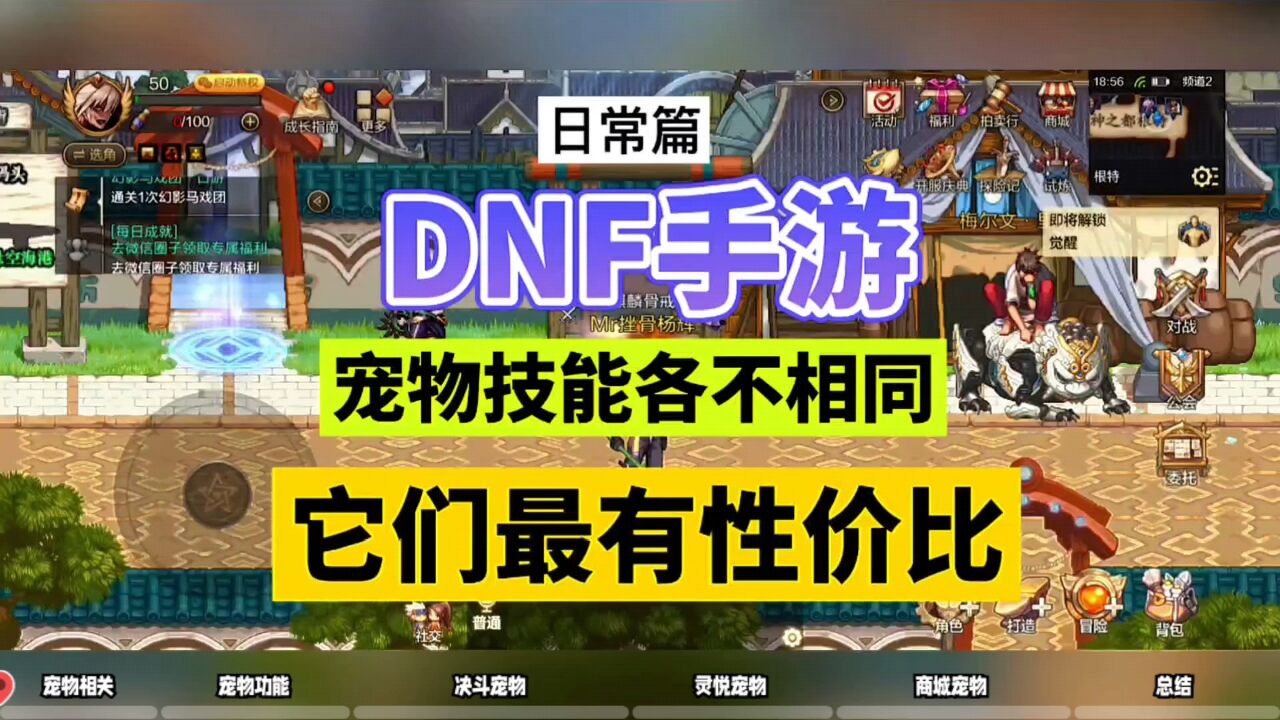 DNF手游:宠物技能各不相同,它们最有性价比!