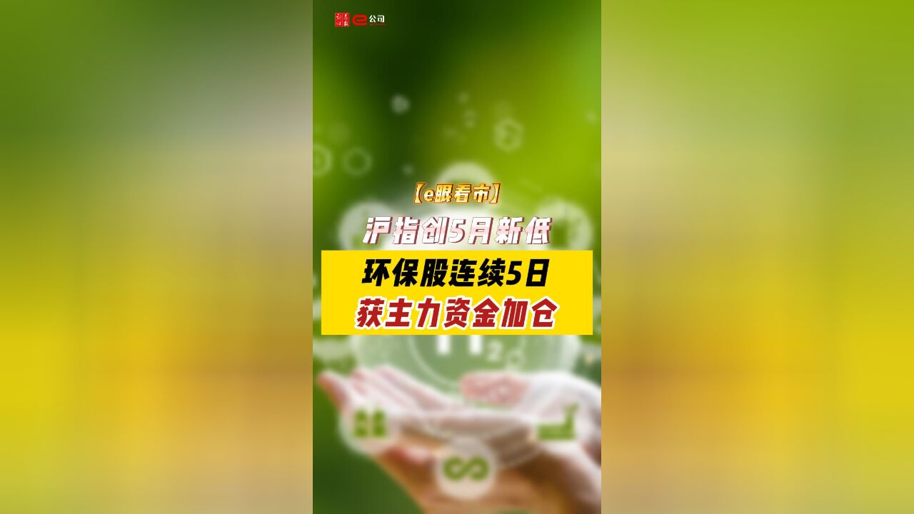 【e眼看市】沪指创5月新低 环保股连续5日获主力资金加仓