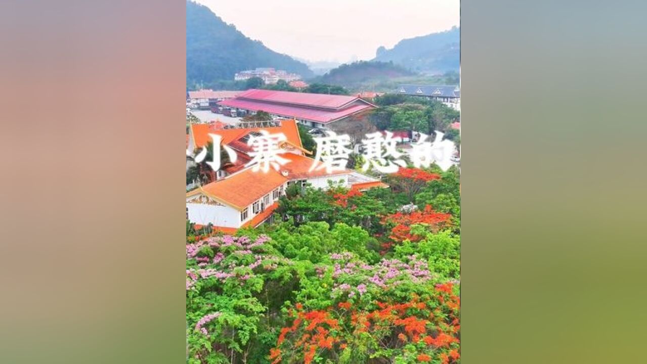 边陲小寨磨憨的夏天