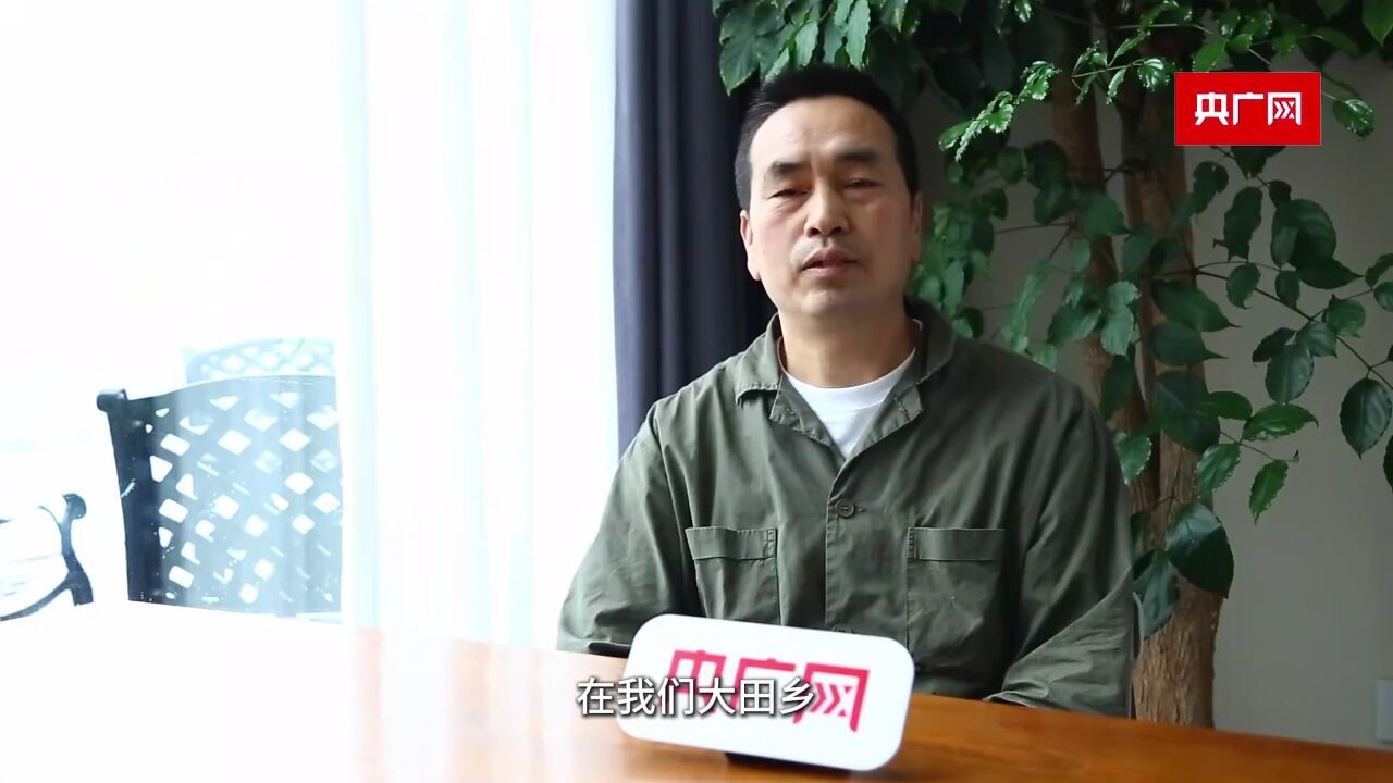 共富进行时丨点“莓”成金:一粒蓝莓果孕育山乡新蝶变