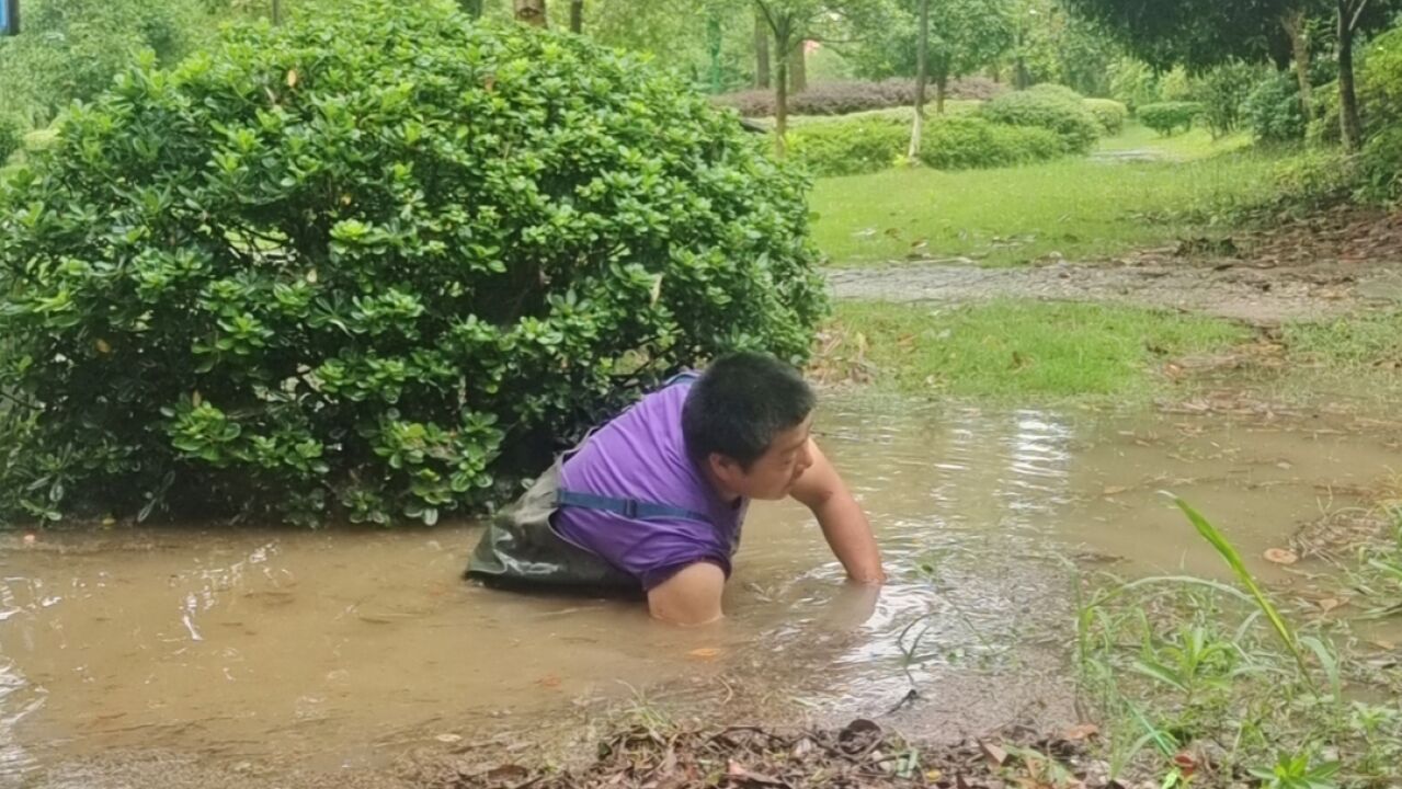 大通湖区暴雨来袭,他们逆雨而行,守护安宁!