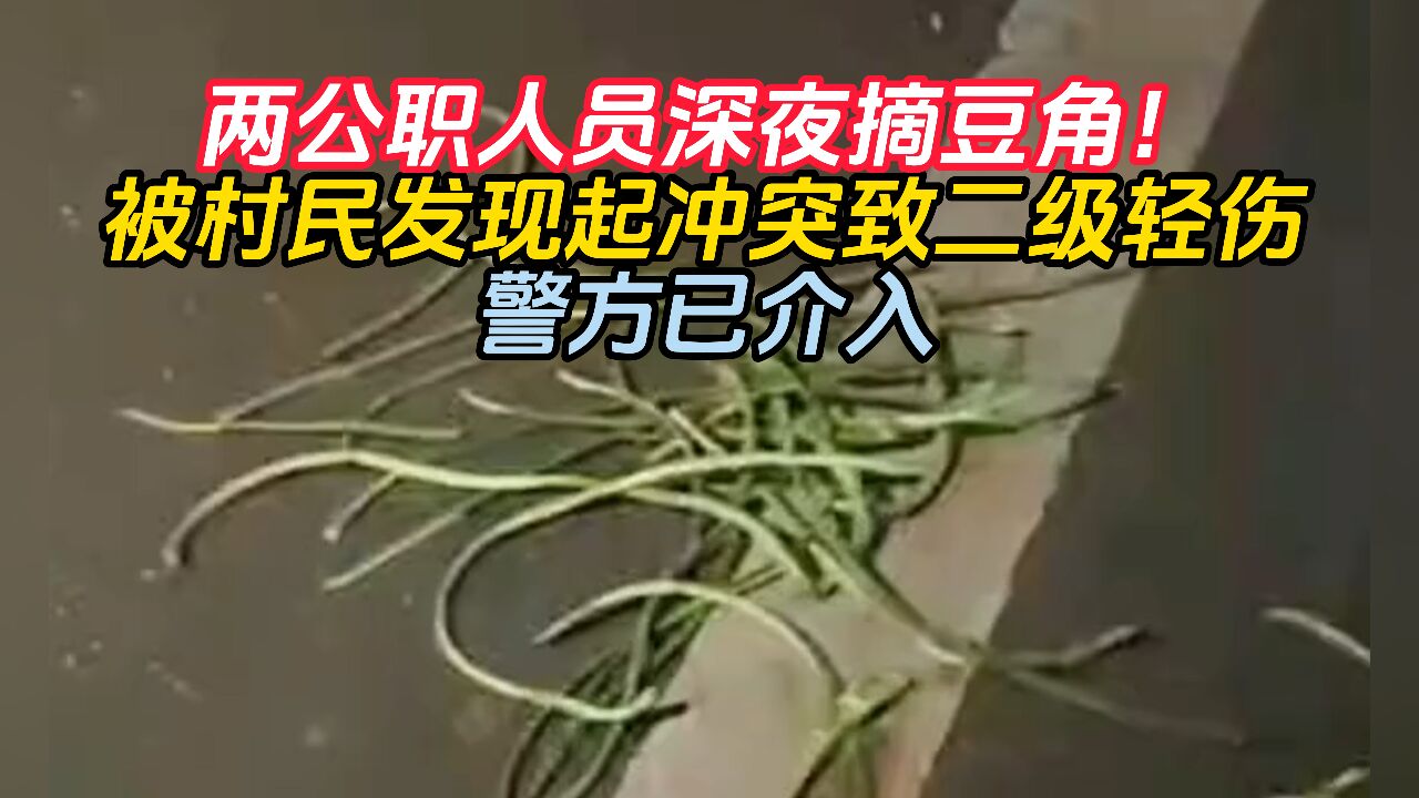 两公职人员深夜摘豆角!被村民发现起冲突致二级轻伤 警方已介入