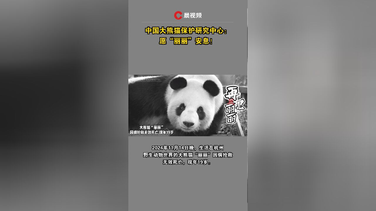 中国大熊猫保护研究中心:愿“丽丽”安息!