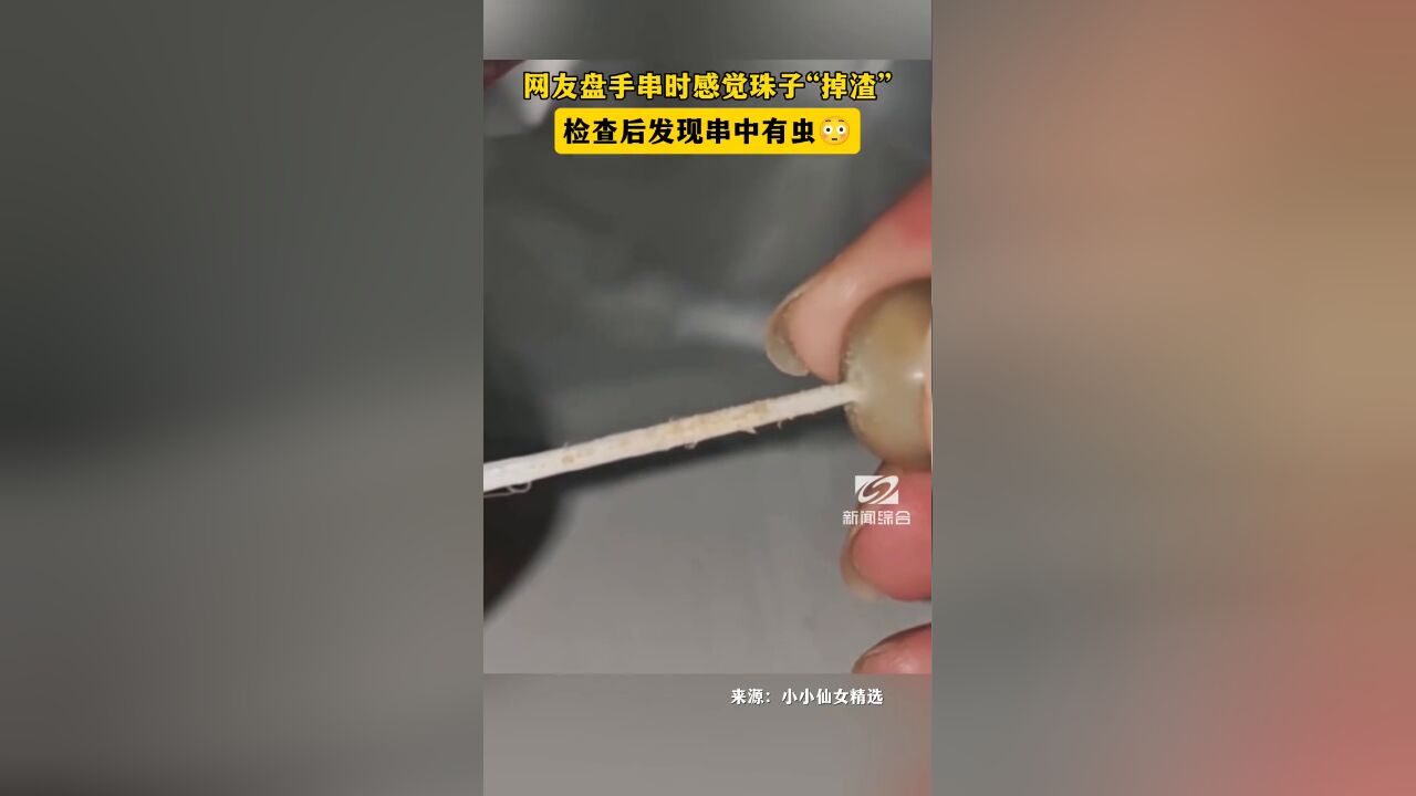 网友盘手串时感觉珠子“掉渣”,检查后发现串中有虫