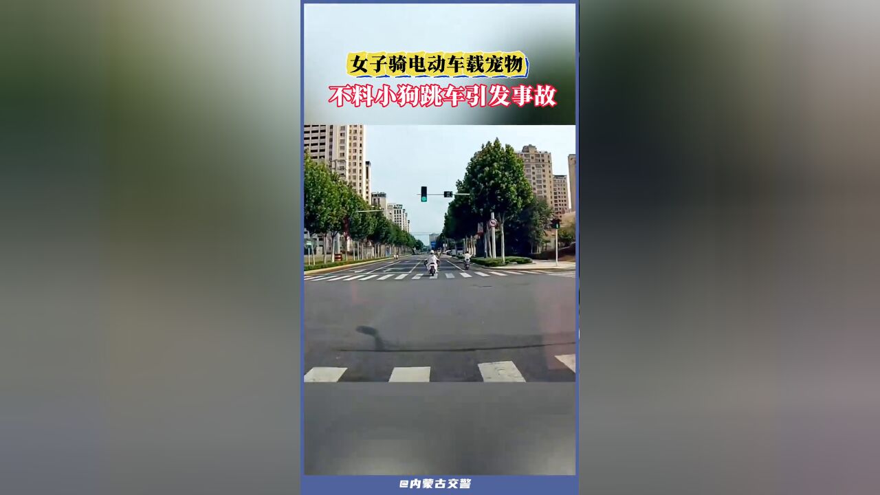 女子骑电动车载宠物 小狗跳车引发事故