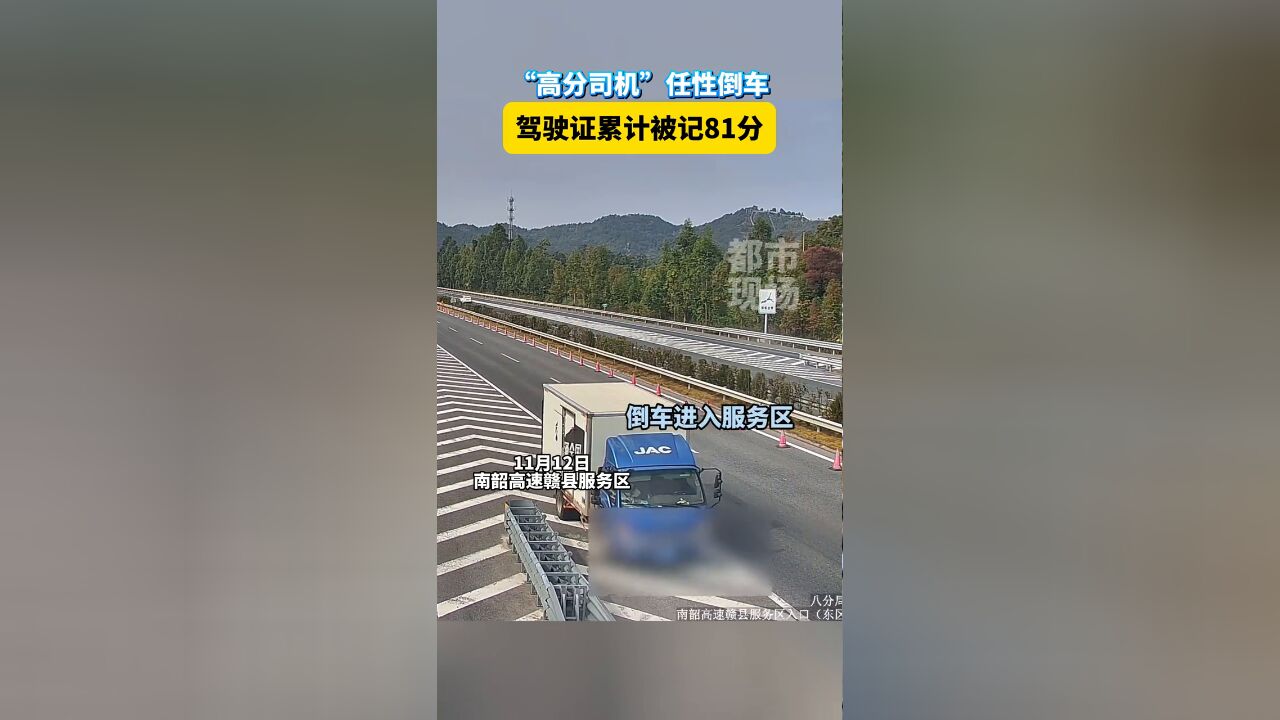 “高分司机”任性倒车 驾驶证累计被记81分