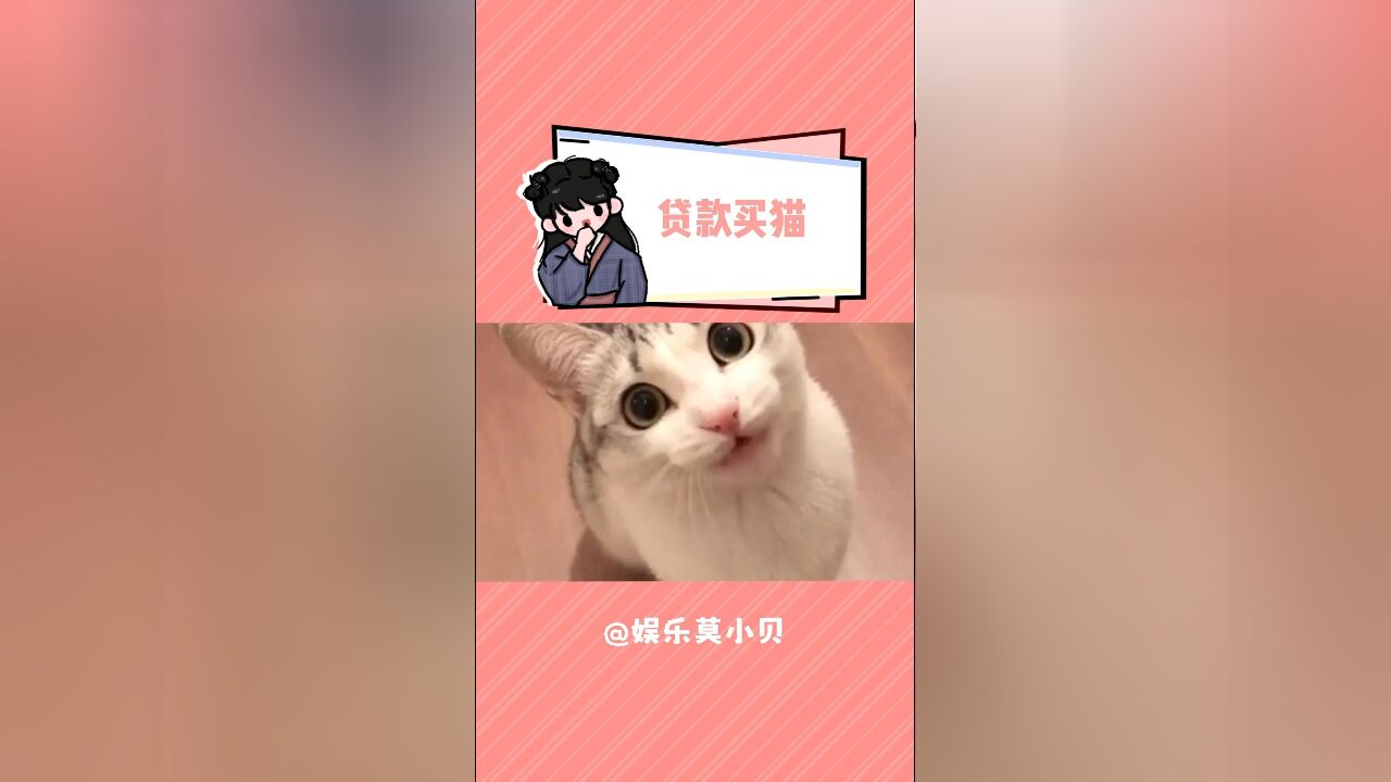 第一次听说还有猫贷