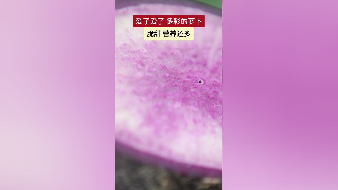 爱了爱了 多彩的萝卜 脆甜 营养还多