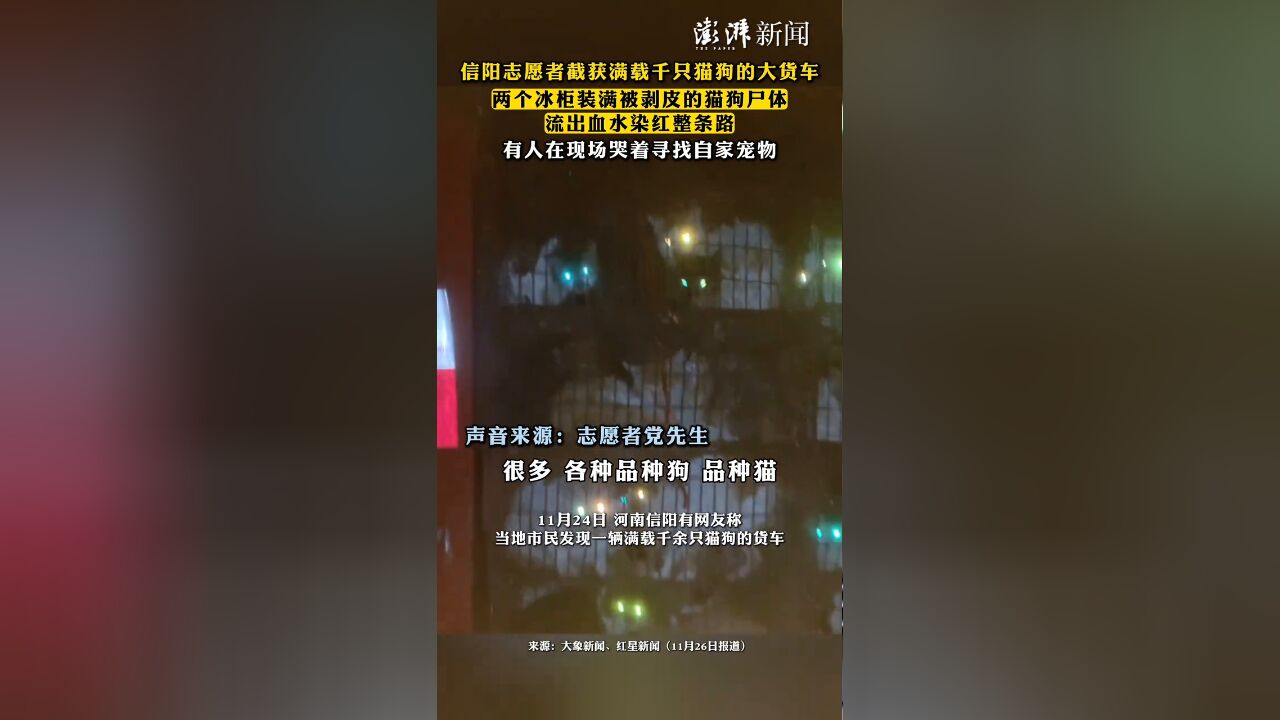 志愿者截获满载千只猫狗的大货车,两个冰柜装满被剥皮的猫狗尸体