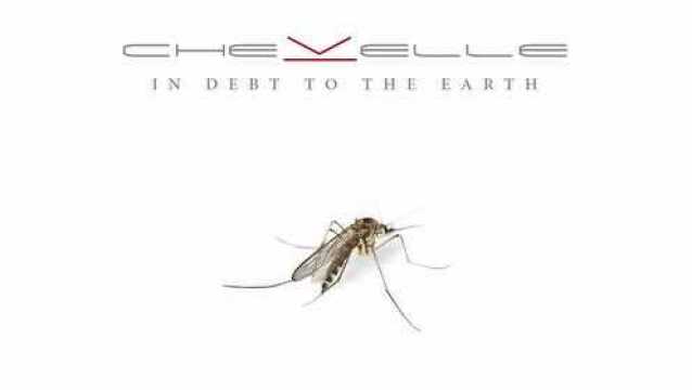 In Debt To The Earth (Audio)