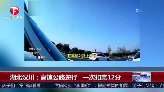 湖北汉川 高速公路逆行 一次扣完12分