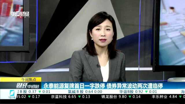 永泰能源复牌首日一字跌停 民营企业融资困境犹存 债务重组或减计避免系统性风险