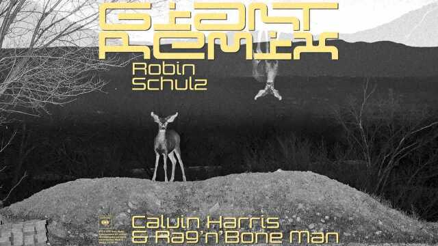 Giant (Robin Schulz Remix) [Audio]