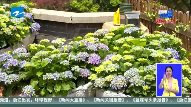 想打造私家花园吗? 来这里给你灵感