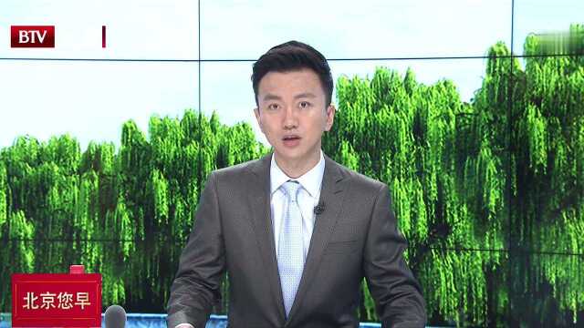 北京互联网法院:受理网络购物类案件中73%涉食品