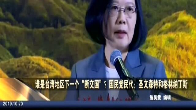 谁是台湾地区下一个“断交国”? 国民党民代:圣文森特和格林纳丁斯