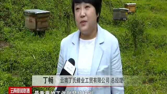 西盟县:激发内生动力 打造“永不撤走的工作队”