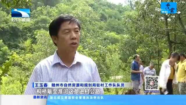 随州桐桥畈村:蜂蜜丰收 农户脱贫