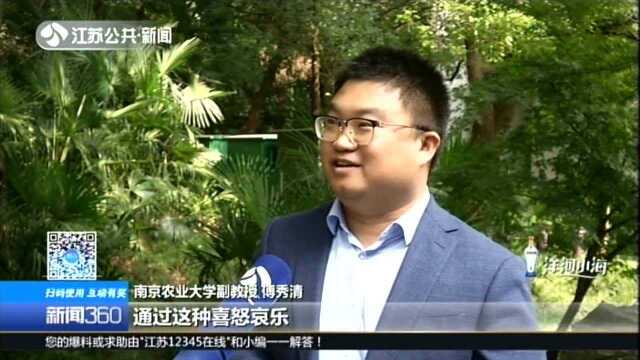 你知道吗?植物也有“喜怒哀乐”:绘就全球作物表型研究的“中国方案”