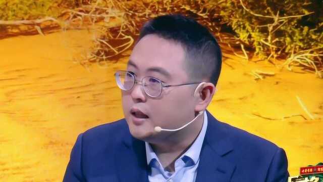 公司的混乱超过了组织能力,黄佳佳在沙漠中团建想对策