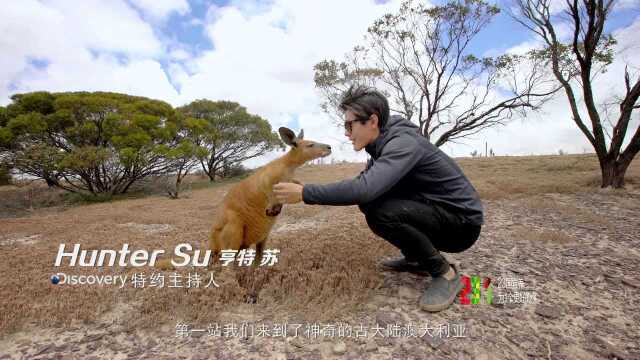 汤臣倍健Discovery焦点图1.18