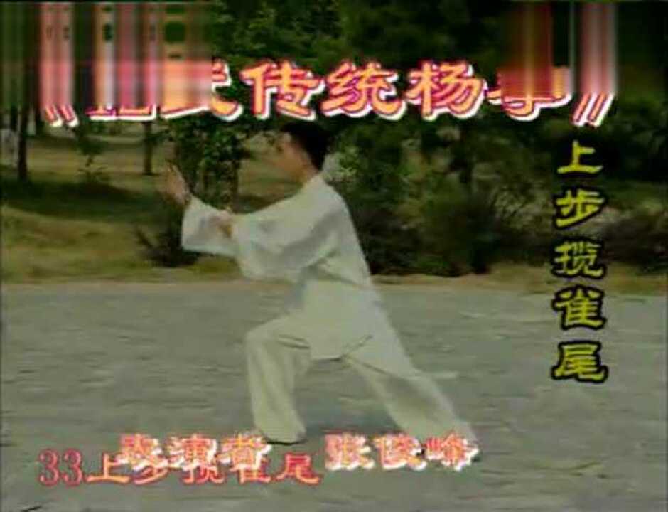 42式传统杨式太极拳 张俊峰演示张勇涛指导