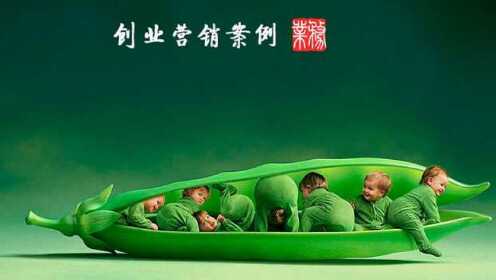 好的视频营销案例