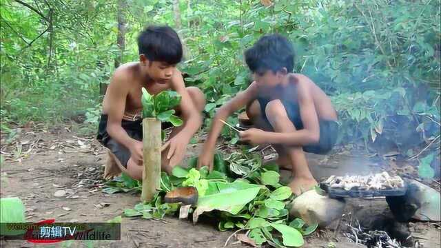 两个小男孩的野外生存日记,在森林里自给自足的生活