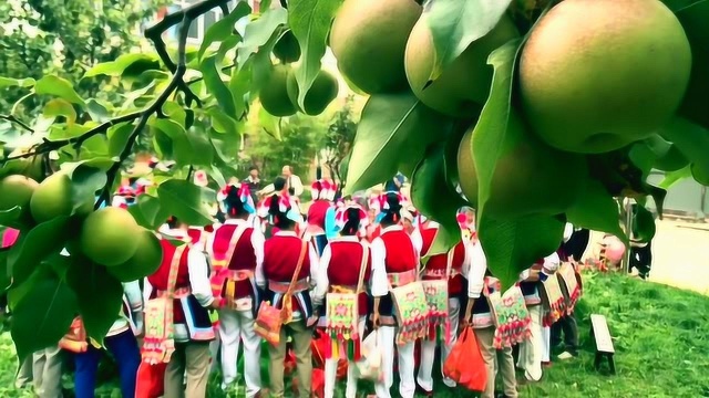 金秋时节大山深处白族歌舞扬——记洱源县右所镇腊坪村文化下乡培训