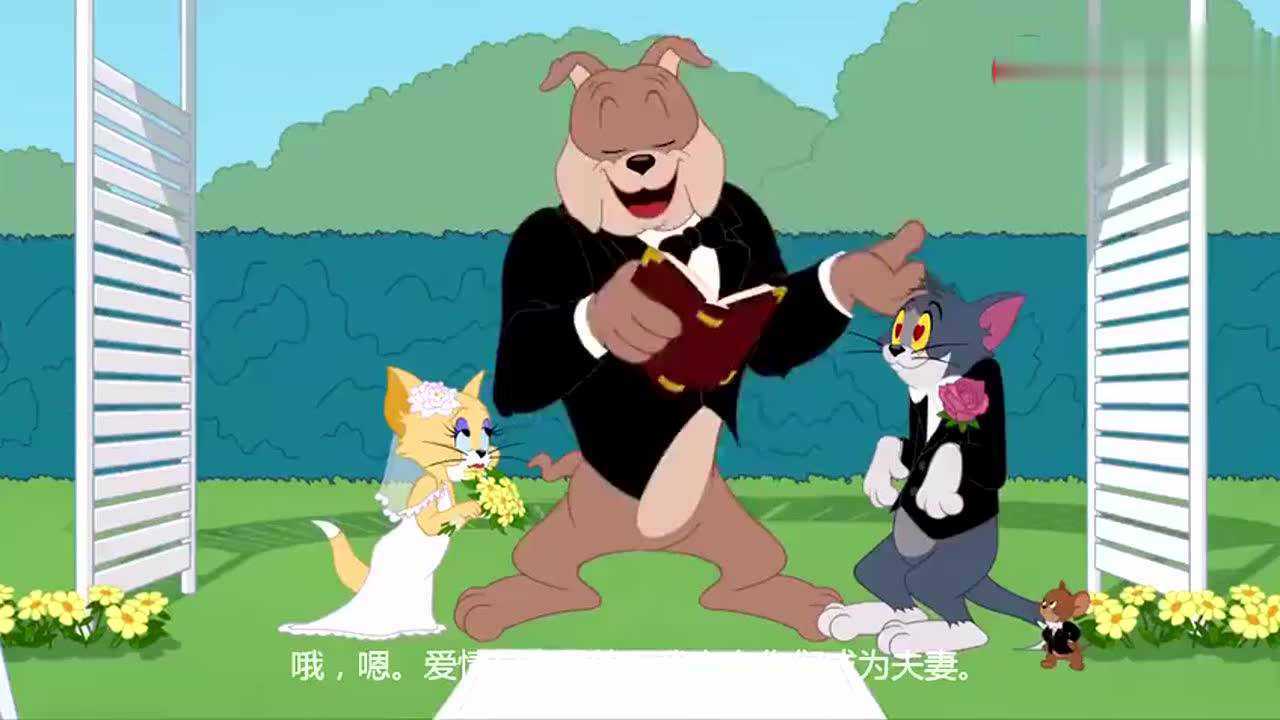 新猫和老鼠第二季汤姆和嘟嘟结婚太逗了