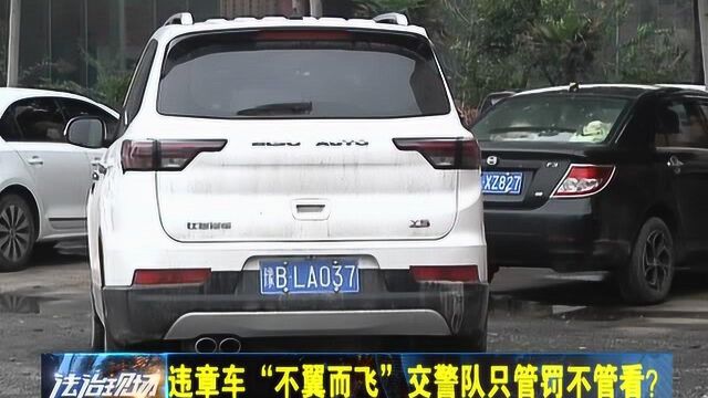 违章车“不翼而飞” 交警队只管罚不管看?