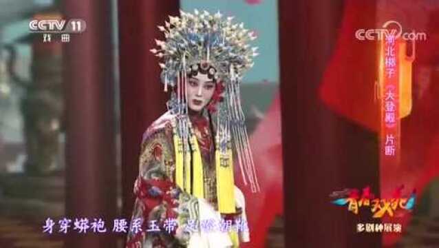 河北梆子《大登殿》选段,表演:天津市河北梆子剧院张元杰