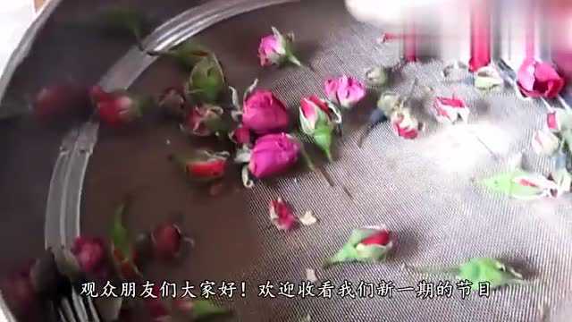 泡玫瑰用多少度的水合适大多数人都做错了,难怪喝了也是白喝