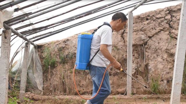 调节剂有的优点它都有,农民都能用得上,成本很低很实用