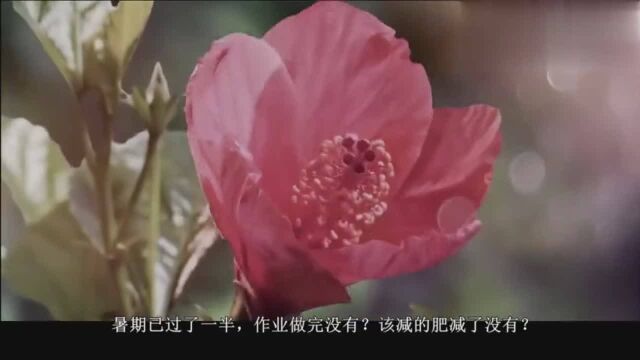 香蜜沉沉烬如霜呆萌锦觅囧事连连,竟然对火神做这么“污”的傻事