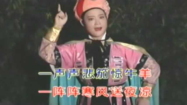 越剧《沙漠王子叹月》华洁,悦耳动听