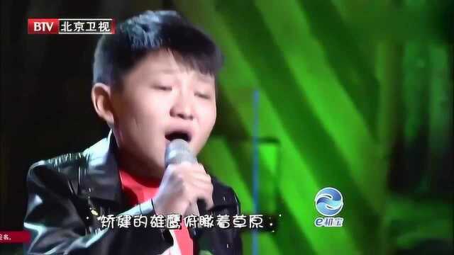 音乐大师课:阿迪雅深情演唱《呼伦贝尔大草原》,胡磊老师都坐不住了