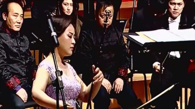 青年二胡演奏家赵元春独奏《乔家大院组曲》韵味十足!